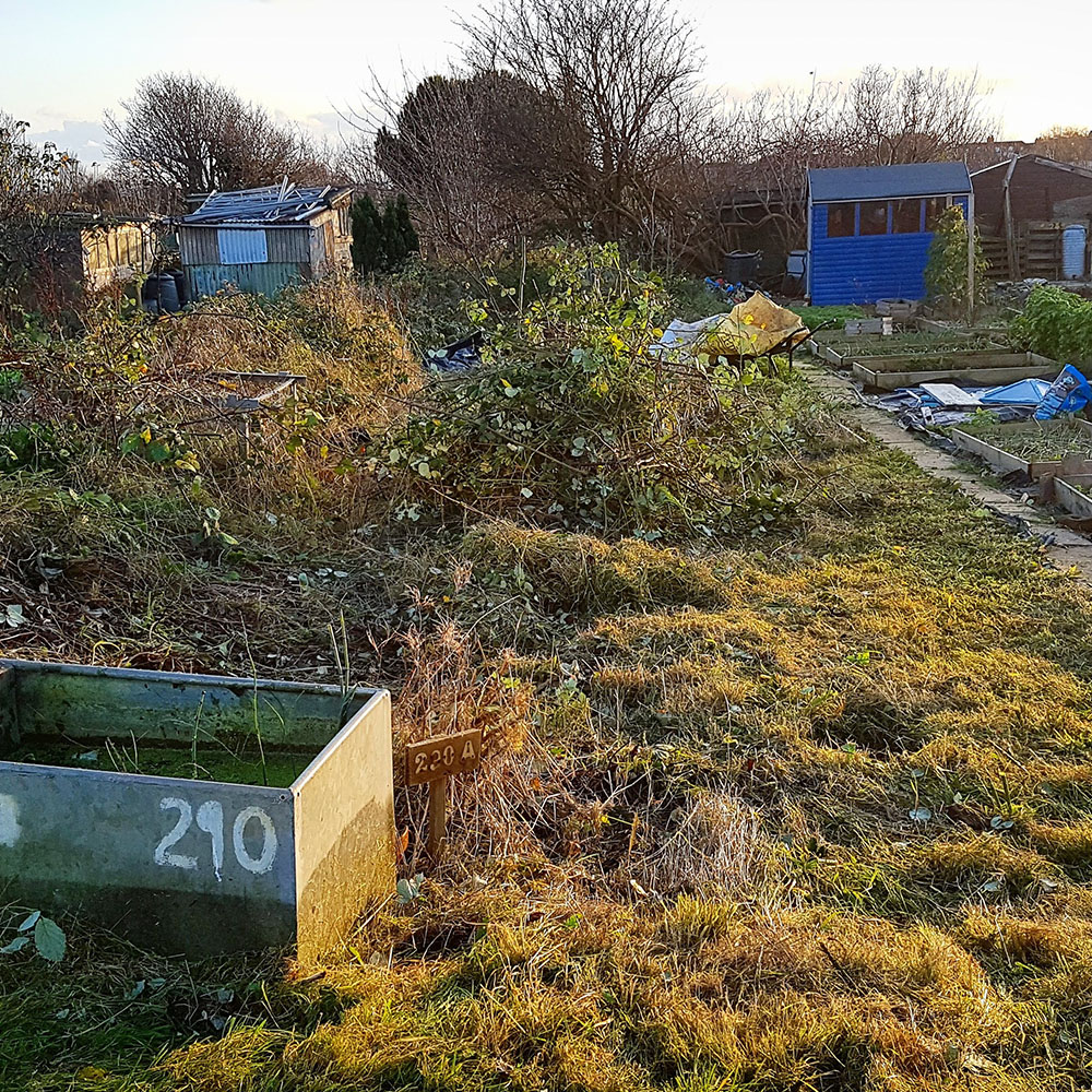 Allotment Clearance