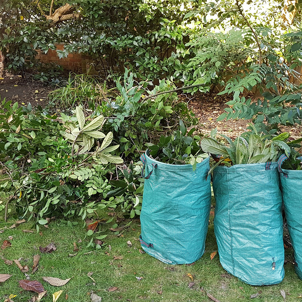 Garden Maintenance