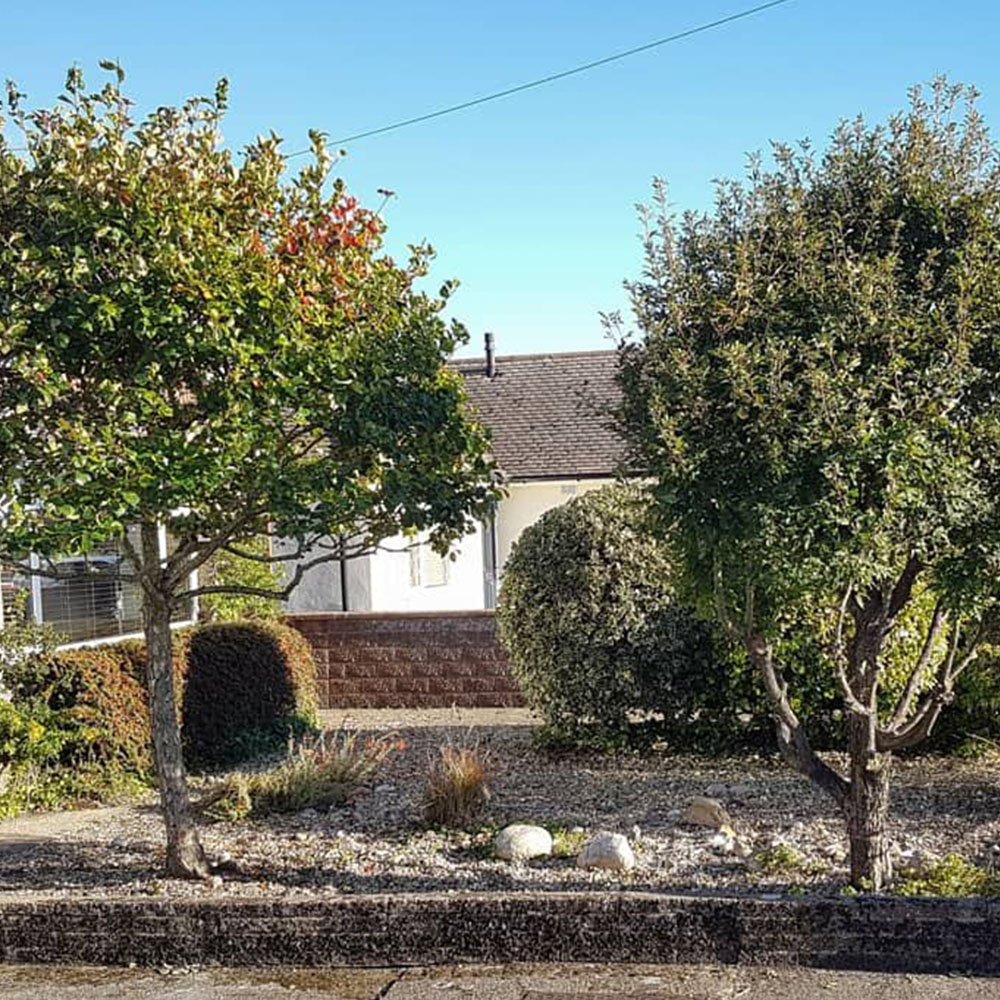 Pruning